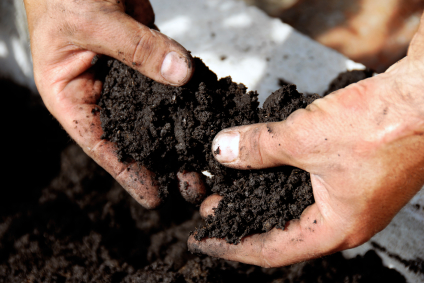 Rich soil Rich soil